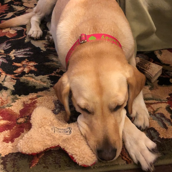 Meet your Posher, Beverly - Picture 1 of 1